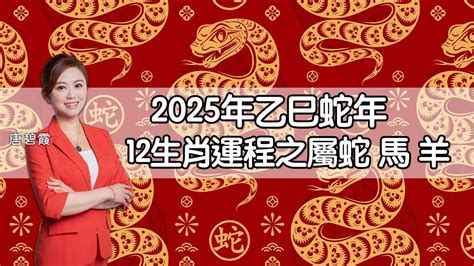 12生肖相沖|麥玲玲蛇年運程2025│十二生肖蛇年運勢排行榜＋財運/。